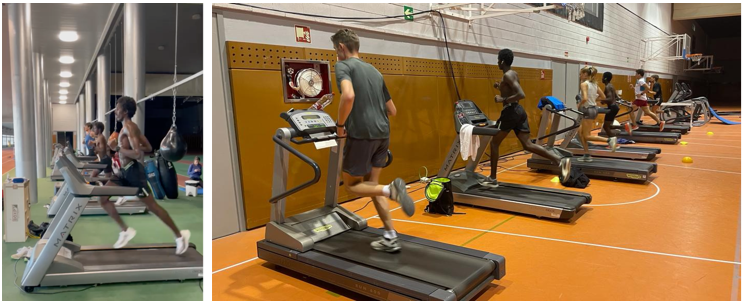 Laufband1 Ayadi Foto