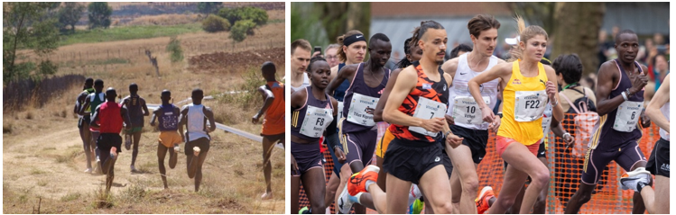 In den Höhen mit „ihnen“ schneller (Fotos: U. Schneider / Wilhelm) 5000mpB1 USchneider Wilhelm Foto