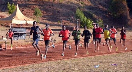 Mit Pacemaker schneller laufen und langsamer traben (Foto: Schneider) 5000mpB6 Schneider Foto