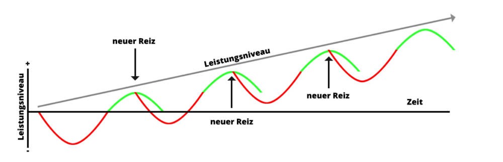 Regeneration2 Geisler Grafik