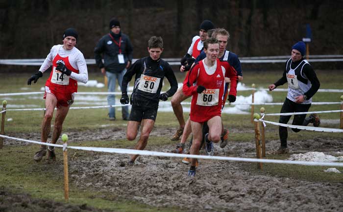 Meingast; Lindner; W#234929